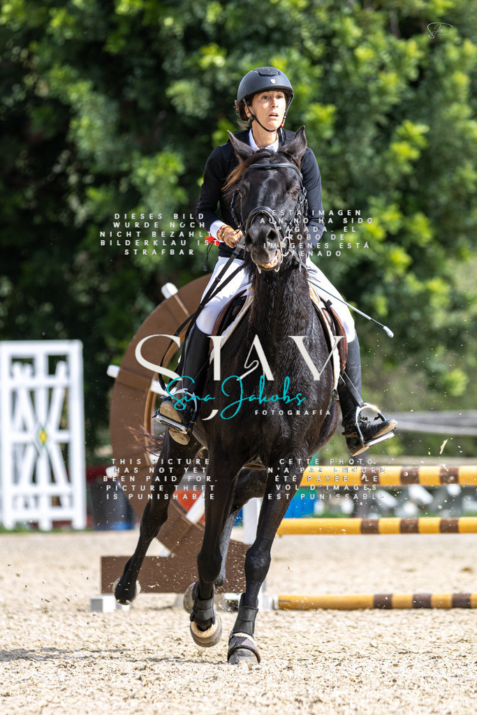 IMG_2525 | s-jay-photography - Realisiert mit Pictrs.com