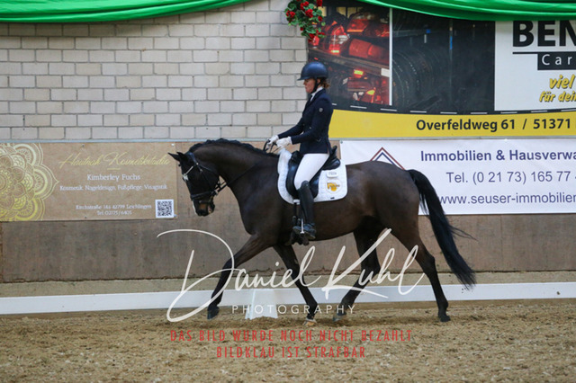 IMG_2671 | Turnierfotos kaufen im Webshop von Daniel Kuhl Photography – entdecke professionelle Reitsportfotos aus Turnieren & Events. Hochwertige Turnierbilder online bestellen & sichern. Jetzt Fotos von Reitsportturnieren kaufen!
