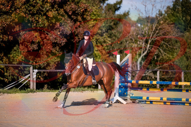 2026_10_03_Siefer-Hof_170906_Z81_05957734 | Professionelle Reitsport-, Turnier- und Eventfotografie von Robert Broda. Galerien mit ausgewählten und bearbeiteten Bildern direkt online ansehen und bestellen.