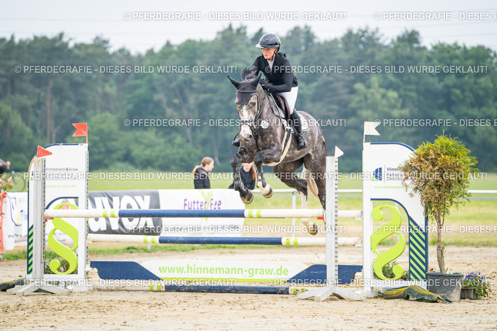 DSC00211 | Pferdegrafie