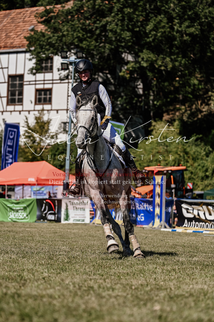 DSC_2580 | Pferde- und Turnierfotografie in Westsachsen. Pferdeportraits, Auftragszeichnungen und intuitive Kunst.