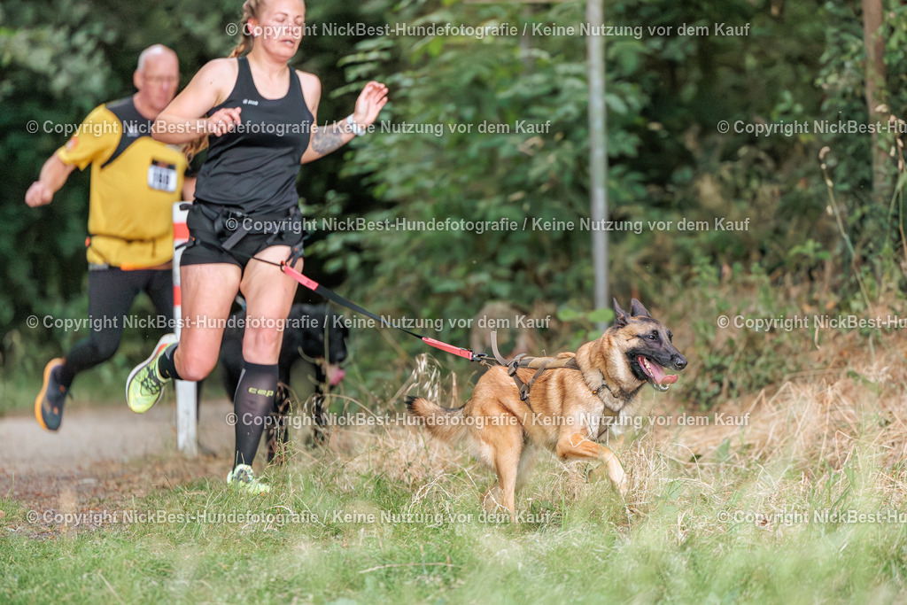 THS-Quakenbrück-2026-Nickbest-Hundefotografie-0786 | Dein Hund! Dein Moment! Deine Erinnerungen! Hundefotografie in Bremen Blumenthal. Ich fange die besonderen Momente deines Vierbeiners ein – ob Indoor mit Blitzanlage oder in der freien Natur. Sicher dir dein Moment und dein Termin für eure Erinnerungen.