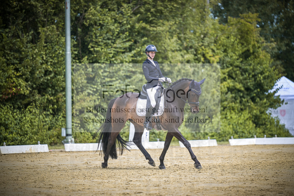 DOS_3102 | Entdecke hochwertige Reitturnierfotos von Foto Oger. Professionell, emotional und authentisch – jetzt Lieblingsmomente im Shop bestellen.Deutschlandweite Turnierfotografie. - Realisiert mit Pictrs.com
