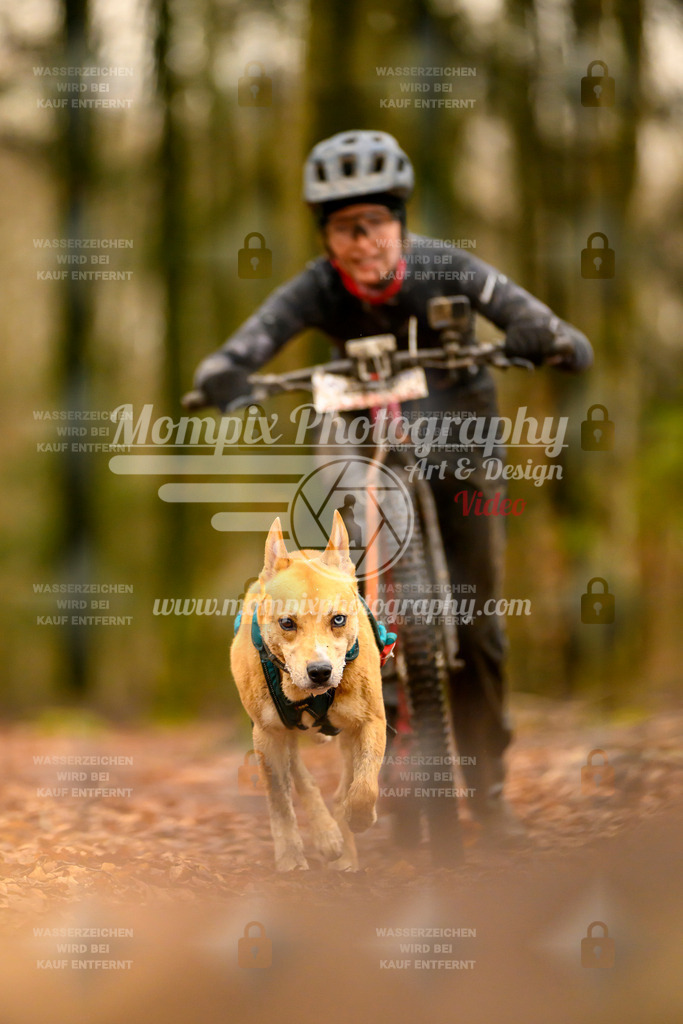 MompixPhotography_Habay2024_SA_Scooter-28 | PayLife