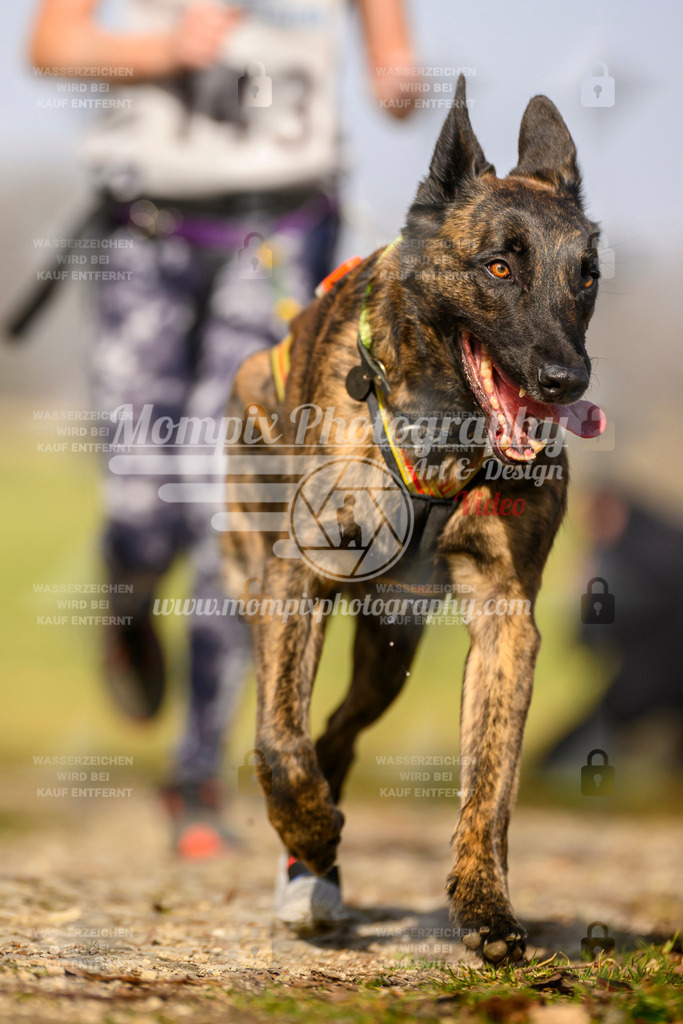 MompixPhotography_6ReiatRennen2026_SA_HappyDog-25 | PayLife