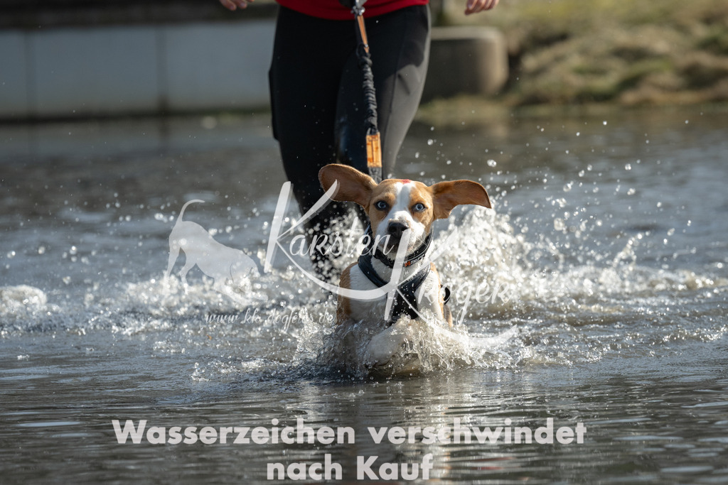 1210_ZZ98369 | kk-dogfotos
