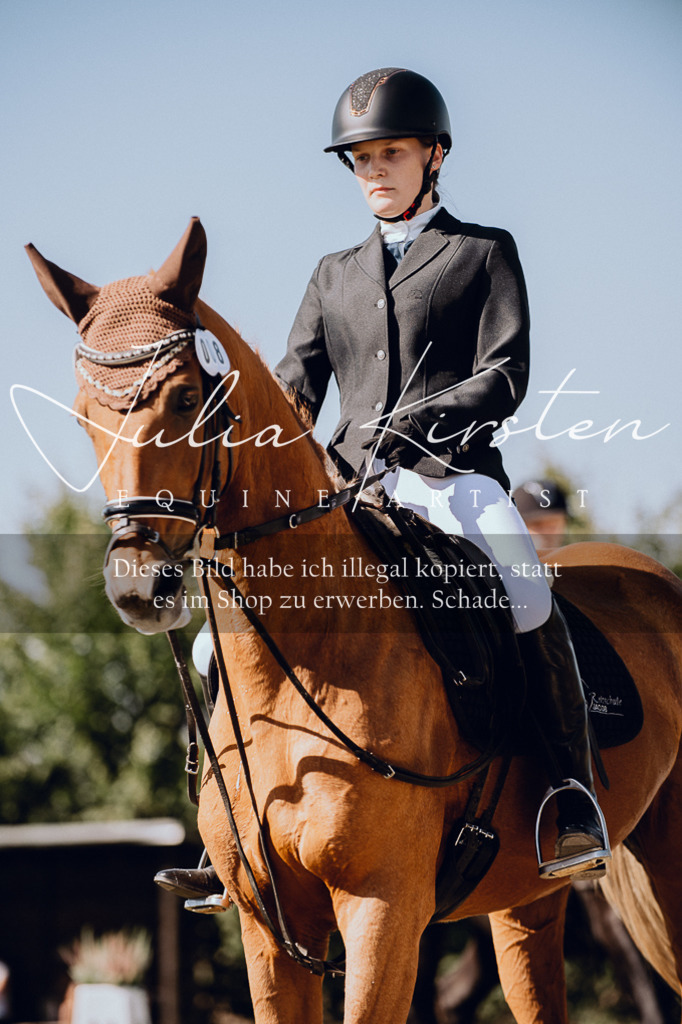 DSC_7251 | Pferde- und Turnierfotografie in Westsachsen. Pferdeportraits, Auftragszeichnungen und intuitive Kunst.