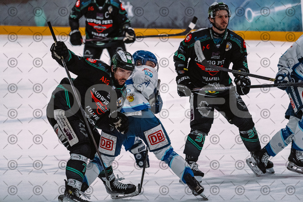 Alligators_vs_Riessersee_03_02_2026-17 | Höchstadt Alligators Fotogalerie: Eishockey-Action aus Franken. Professionelle Spielfotos, Portraits & Stadionbilder zum Download. Jetzt entdecken! - Realisiert mit Pictrs.com