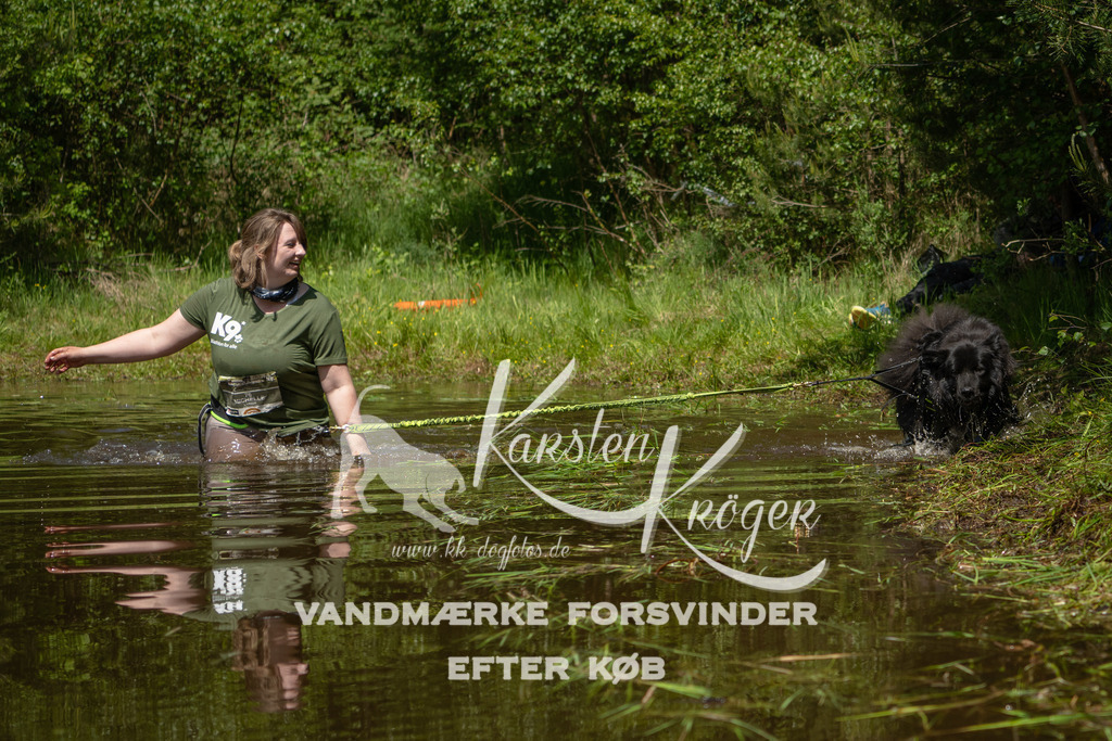 1302DKK993825 | kk-dogfotos