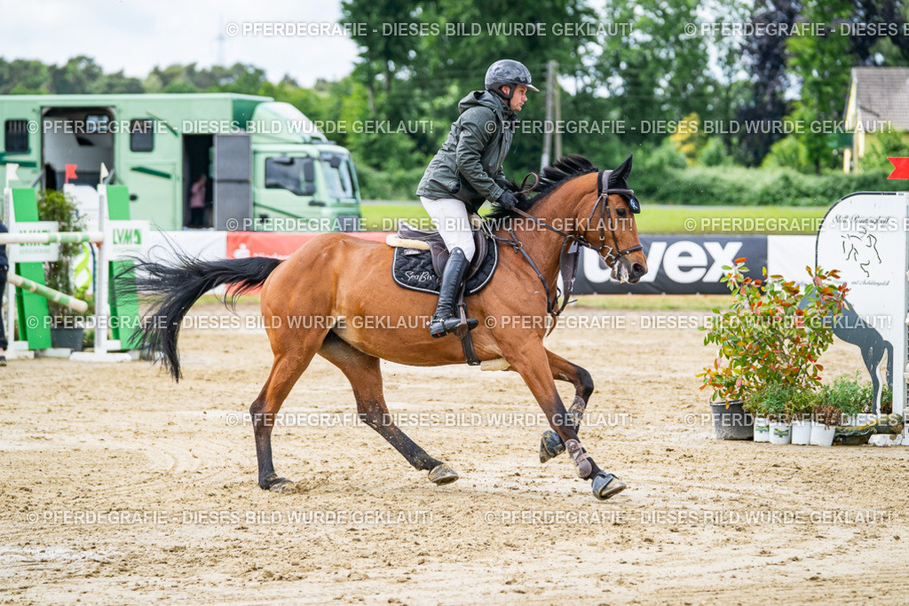 DSC04778 | Pferdegrafie