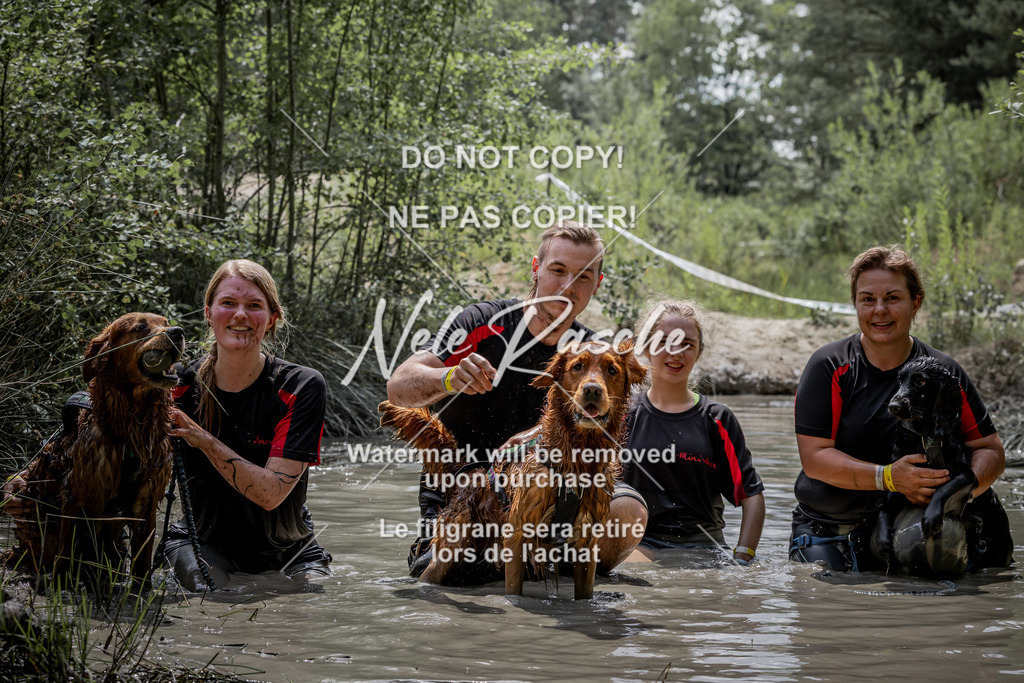 nelerasche_so1230-1300_358 | nelerasche