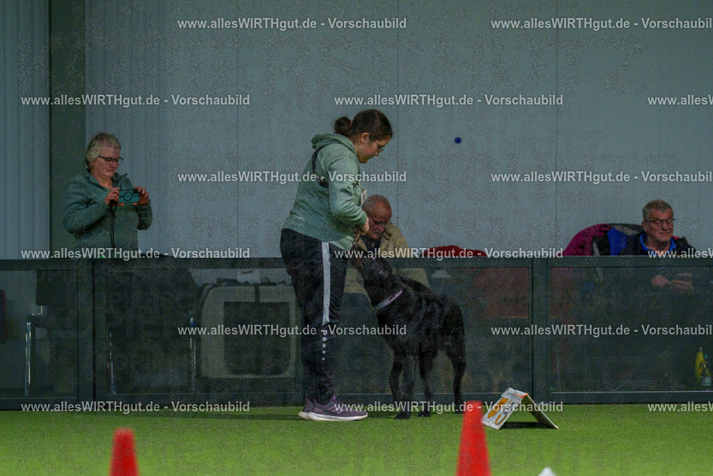 7R505793 | Professionelle Tierfotografie in Mönchengladbach von Daniel Wirth (allesWIRTHgut). Liebevolle & natürliche Bilder von Hunden & Katzen für unvergessliche Erinnerungen.