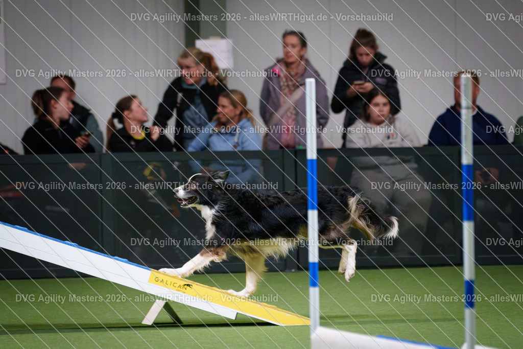 allesWIRTHgut_Tierfotografie-DVG_Agility_Masters_2026-16_51-7R508839 | Professionelle Tierfotografie in Mönchengladbach von Daniel Wirth (allesWIRTHgut). Liebevolle & natürliche Bilder von Hunden & Katzen für unvergessliche Erinnerungen.