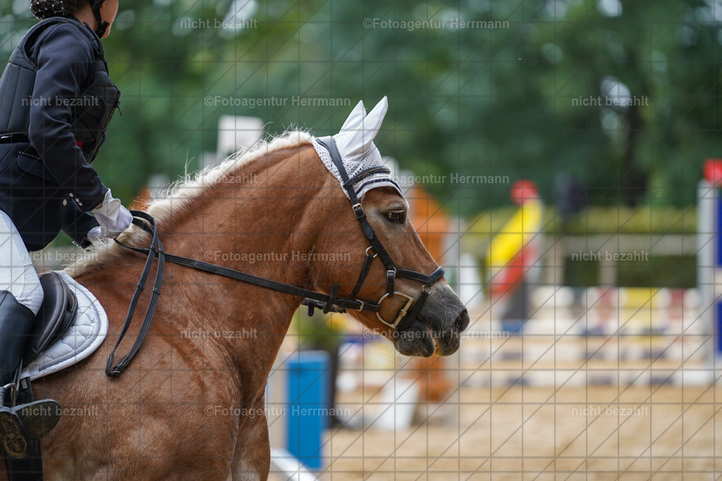 20231008-SN_01157 | Professionelle Turnier- und Reitsportfotografie - mit dem Finger am Auslöser. Pferdebilder aus dem Reitsport von den Turnierfotografen  Bayern , Pferdefotograf Bayern, Pferdeshooting Turnierbilder, Hochzeitsfotograf, Eventfotograf, Hochzeitsbilder