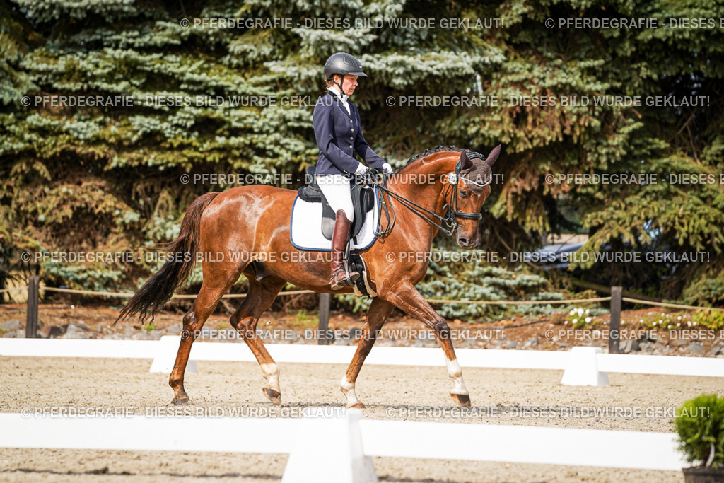 DSC06922 | Pferdegrafie