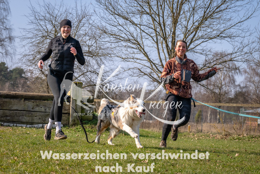 _ZZ91154 | kk-dogfotos