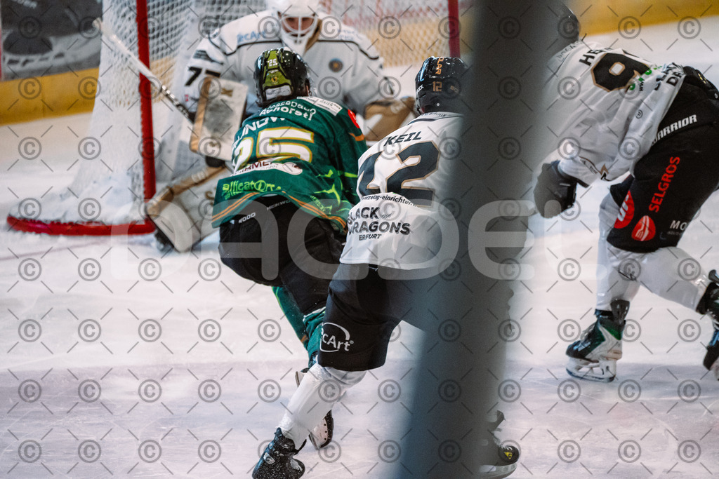 Alligators_vs_Erfurt_06_09_2026-17 | Die Fotogalerie von Daddel: professionelle Bilder von Sport, Events und Unternehmen aus Franken. Jetzt Galerien durchstöbern und Lieblingsfotos bestellen. - Realisiert mit Pictrs.com