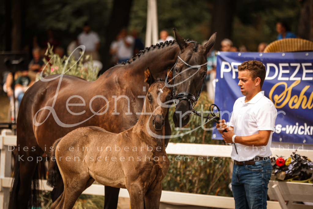 SaPA00057 | Leoni Ertmer Photography - Realisiert mit Pictrs.com