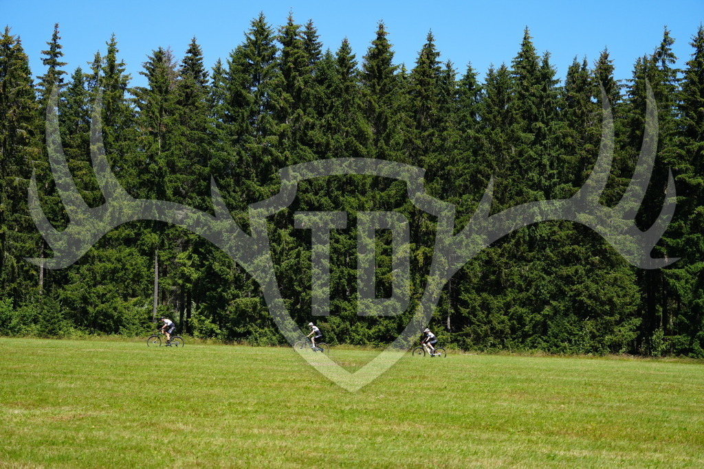FC101311 | Fotogalerie der Treibjagd im Dunkelwald - Dein MTB Etappenrennen im Erzgebirge - Realisiert mit Pictrs.com