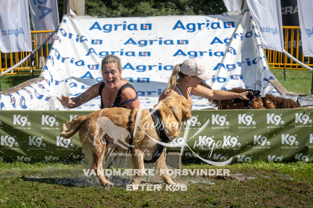 1149_ZZ94201 | kk-dogfotos