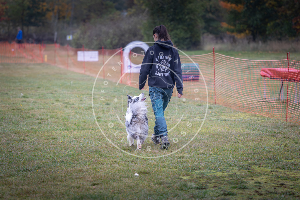 Pfotenfotografie_DV3A8812 | Hundefotografie, Tierfotograf, Pfotenfotografie, Fotoshooting Hund, Hunde Portrait, Hundesport, Hundeportraits, Heideshooting, Hunde, Sportfotograf, Hundefotograf, Turnierhundsport, THS,  - Realisiert mit Pictrs.com