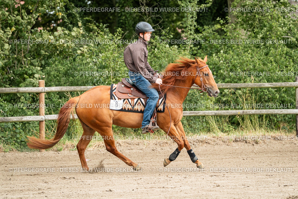 DSC04812 | Pferdegrafie