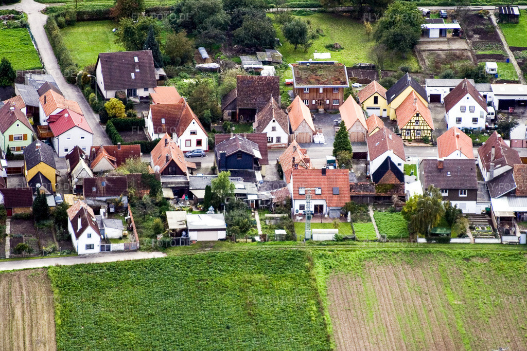 Luftbild: Gänsried in Freckenfeld im Bundesland Rheinland-Pfalz in Deutschland. Foto: IMG_4455.jpg vom 22.10.2006 durch Werner Riehm/FLY-FOTO.de