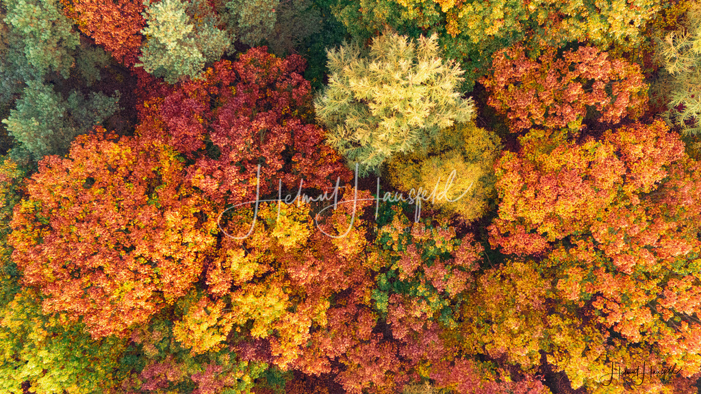 DJI_20241026092446_0105_D | default - Realisiert mit Pictrs.com