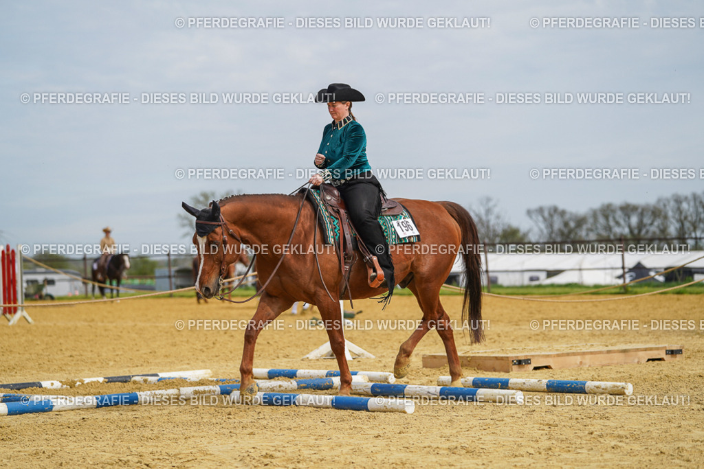 DSC03686 | Pferdegrafie