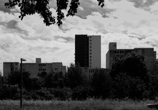 XPR20105-weingarten | blende43