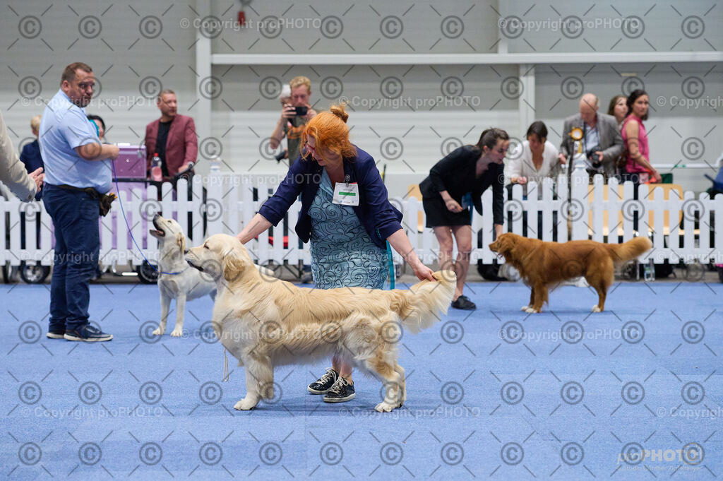 202406_ÖKV-IHA-Tulln24_DSC_3161 | proPHOTO - Realisiert mit Pictrs.com