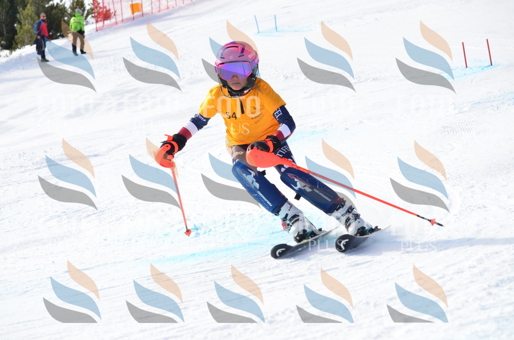 C7790 | holidayphoto