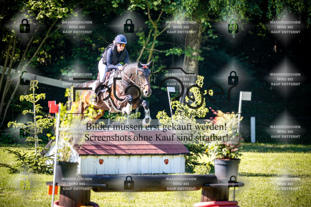 2026-05 - Melle Oldendorf-3-0087 | Entdecke hochwertige Reitturnierfotos von Foto Oger. Professionell, emotional und authentisch – jetzt Lieblingsmomente im Shop bestellen.Deutschlandweite Turnierfotografie. - Realisiert mit Pictrs.com