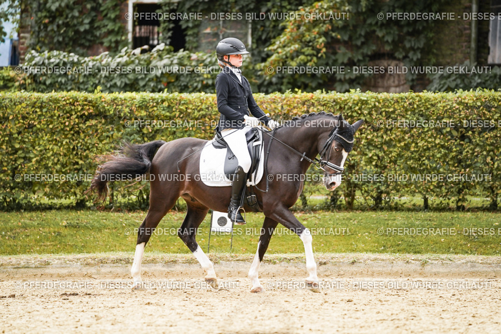 DSC00198 | Pferdegrafie