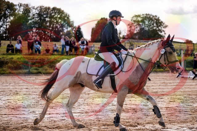 2026_10_03_Siefer-Hof_144219_Z81_15213598 | Professionelle Reitsport-, Turnier- und Eventfotografie von Robert Broda. Galerien mit ausgewählten und bearbeiteten Bildern direkt online ansehen und bestellen.