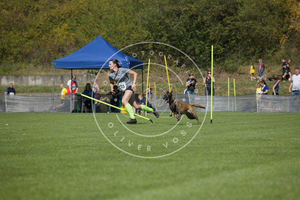 0L8A6080 | Hundefotografie, Tierfotograf, Pfotenfotografie, Fotoshooting Hund, Hunde Portrait, Hundesport, Hundeportraits, Heideshooting, Hunde, Sportfotograf, Hundefotograf, Turnierhundsport, THS,  - Realisiert mit Pictrs.com