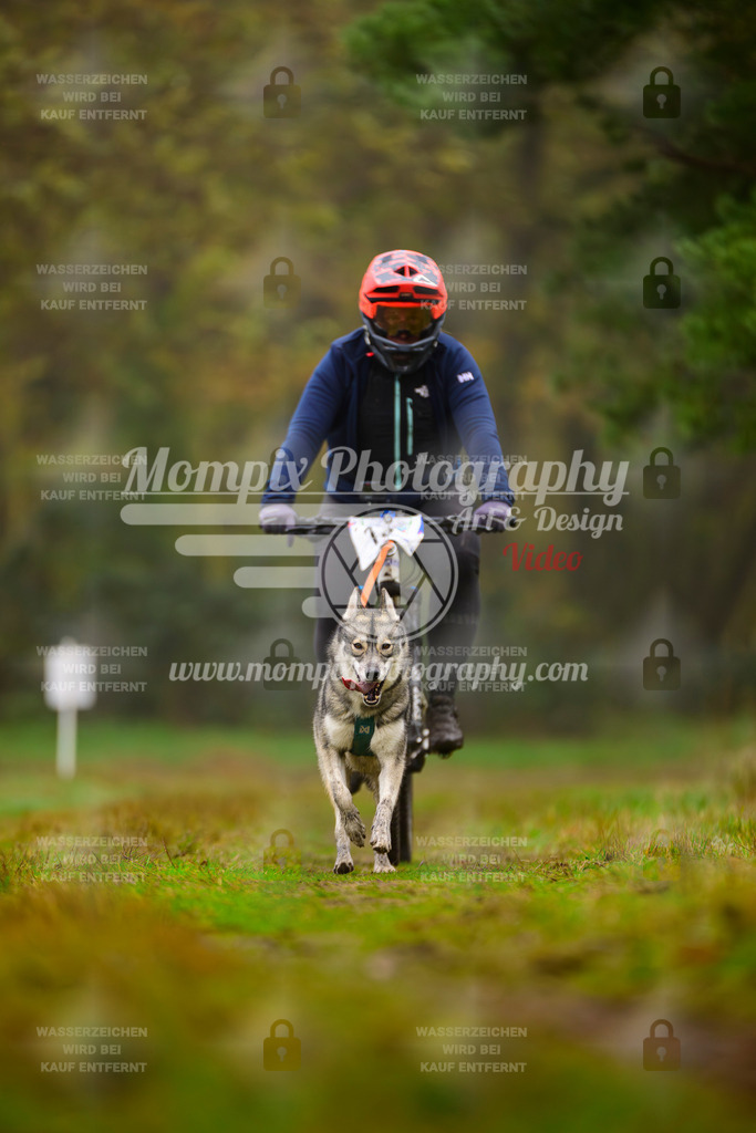 MompixPhotography_Bischwiller2025_Bike-80 | mompixphotography