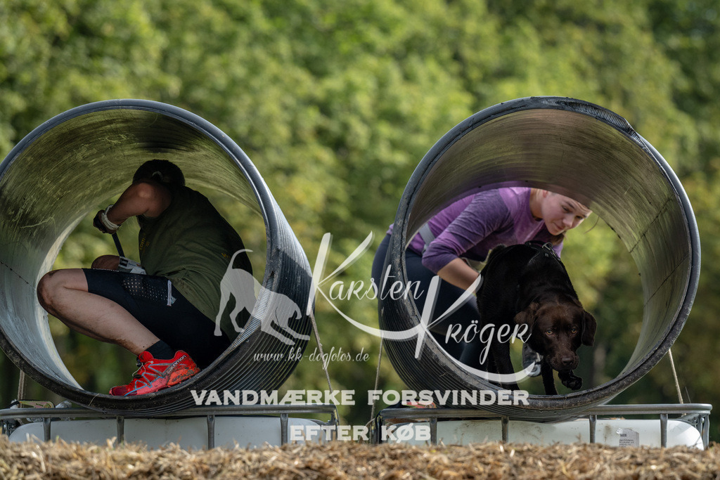 0954_ZZ91542 | kk-dogfotos