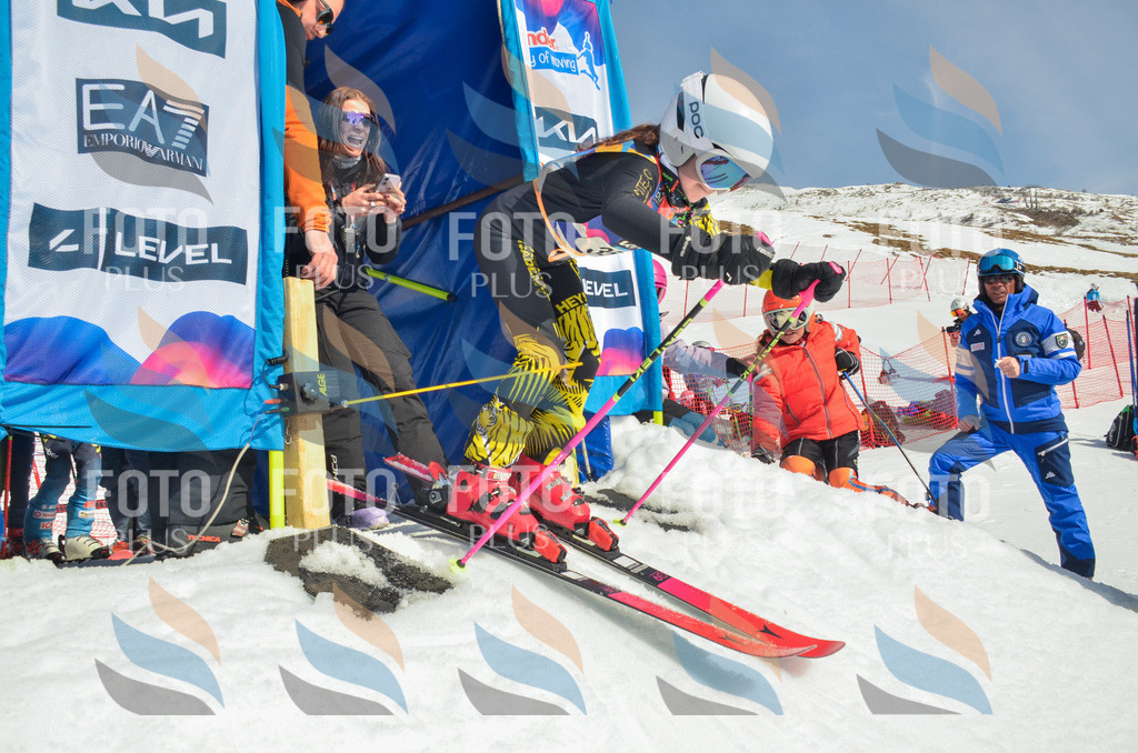 _ELE4948 | holidayphoto