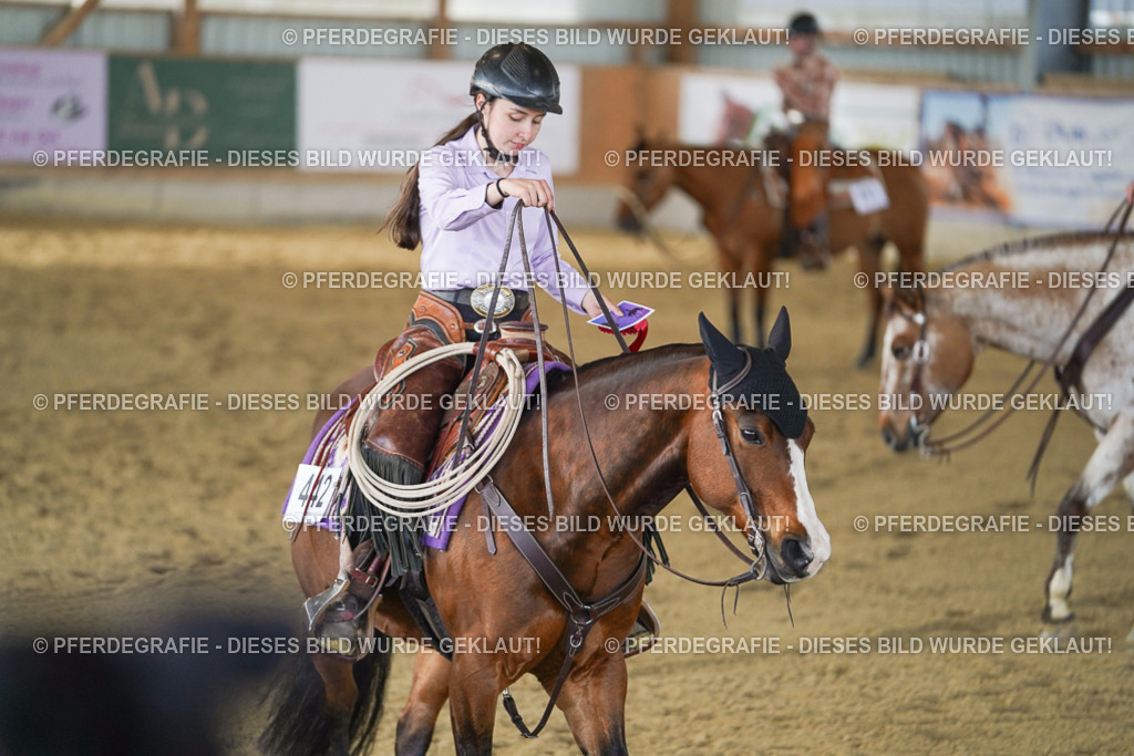 DSC09012 | Pferdegrafie