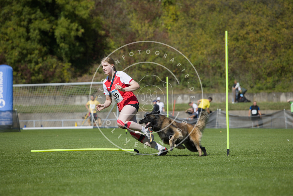 0L8A6058 | Hundefotografie, Tierfotograf, Pfotenfotografie, Fotoshooting Hund, Hunde Portrait, Hundesport, Hundeportraits, Heideshooting, Hunde, Sportfotograf, Hundefotograf, Turnierhundsport, THS,  - Realisiert mit Pictrs.com