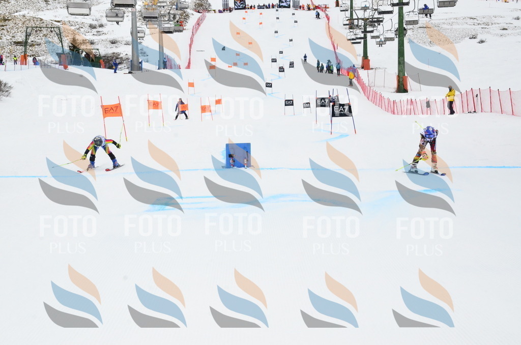 _ELE3968 | holidayphoto