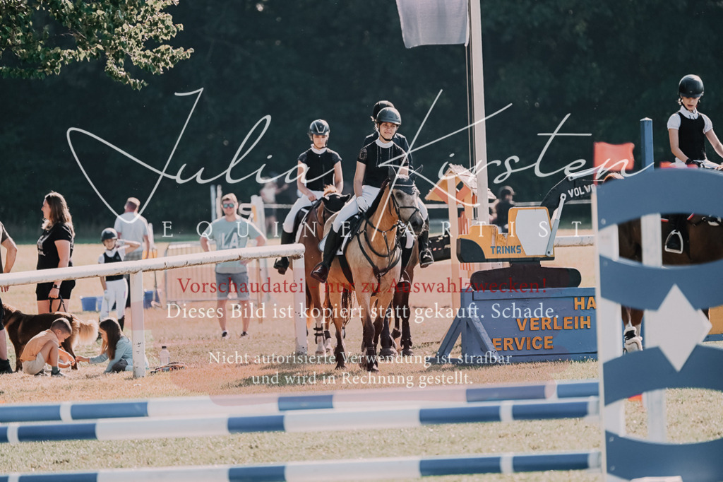 DSC_4881 | Pferde- und Turnierfotografie in Westsachsen. Pferdeportraits, Auftragszeichnungen und intuitive Kunst.