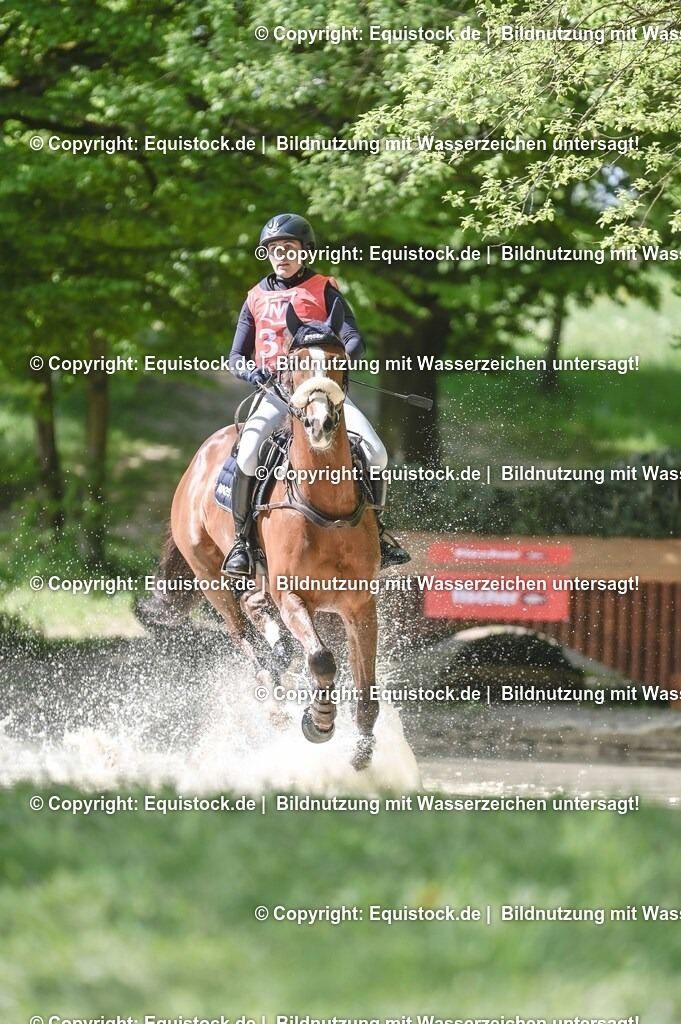 20250517_CCI2_Gelände_0982 | Foto: Thomas Hartig