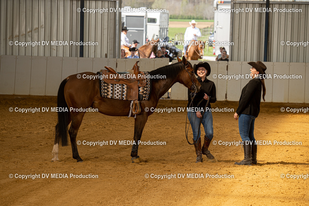 MIT00308 | dv-media-shop - Realisiert mit Pictrs.com