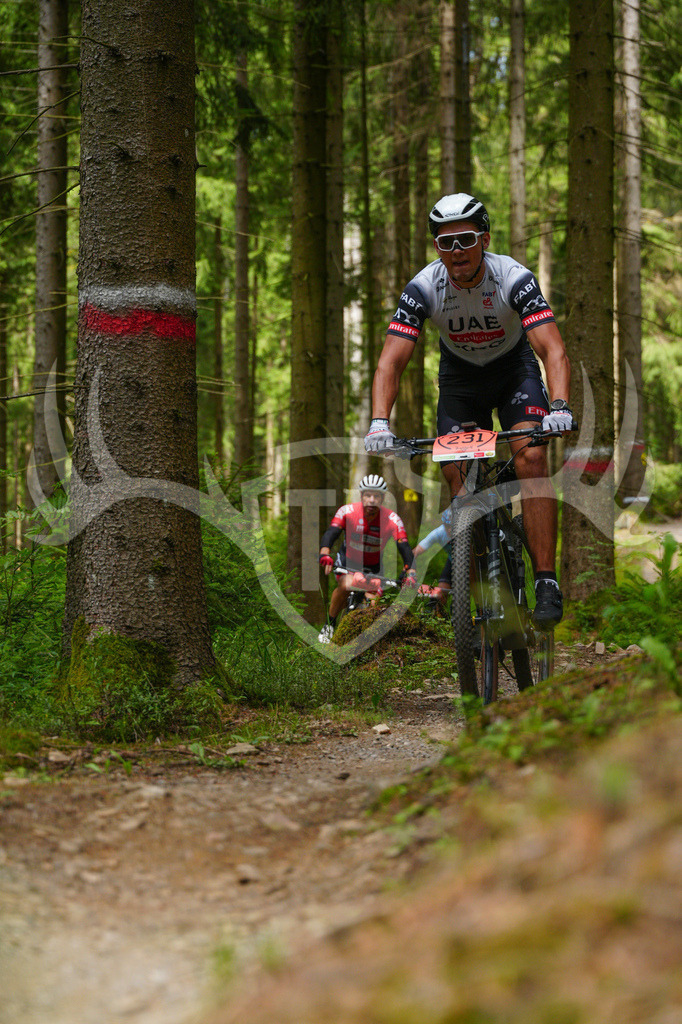 FC603772 | Fotogalerie der Treibjagd im Dunkelwald - Dein MTB Etappenrennen im Erzgebirge - Realisiert mit Pictrs.com