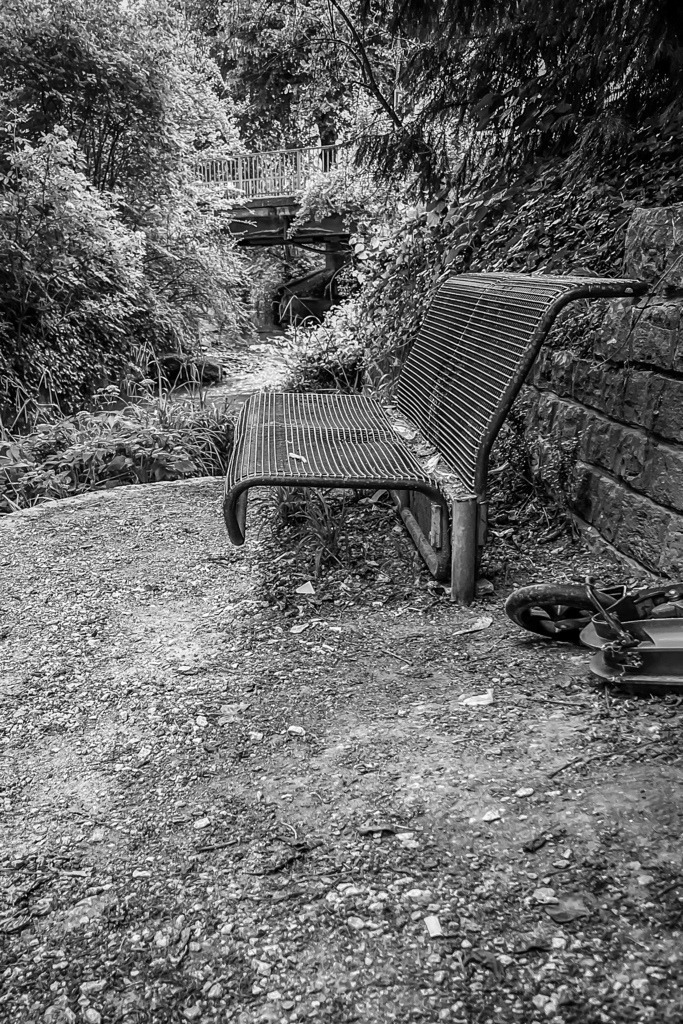 Pärkli am Orisbach im Zentrum von Liestal | Schöne Fotografien aus der Stadt und der Natur zum bestellen oder selber hochladen. Druck auf Foto, Postkarte, Kalender, FineArt Hahnemühle, Alu-Dibond , Akustikbilder zur Absorption von Schall und Lärm etc. - Realisiert mit Pictrs.com