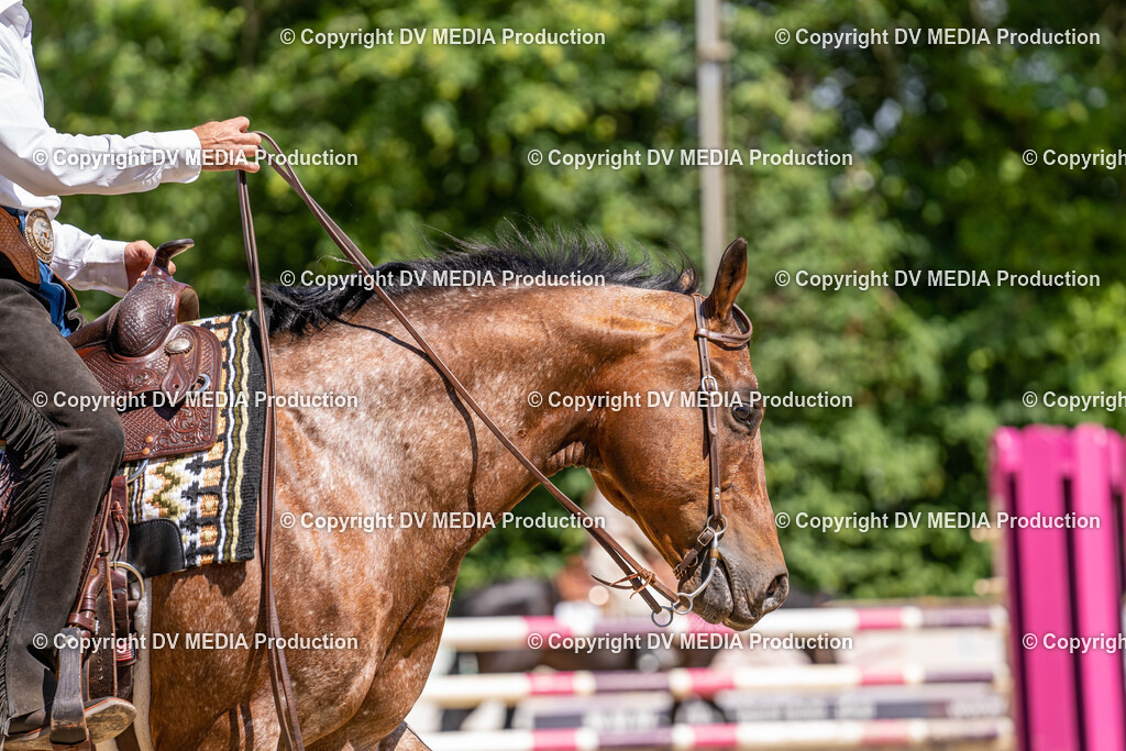 Zeiskam Tag 2-0877 | dv-media-shop - Realisiert mit Pictrs.com