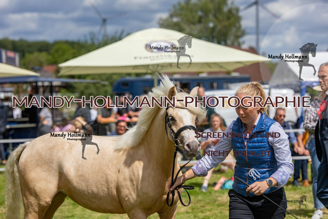 IG WELSH VM 2024-569 | mandyhollmannphotographie