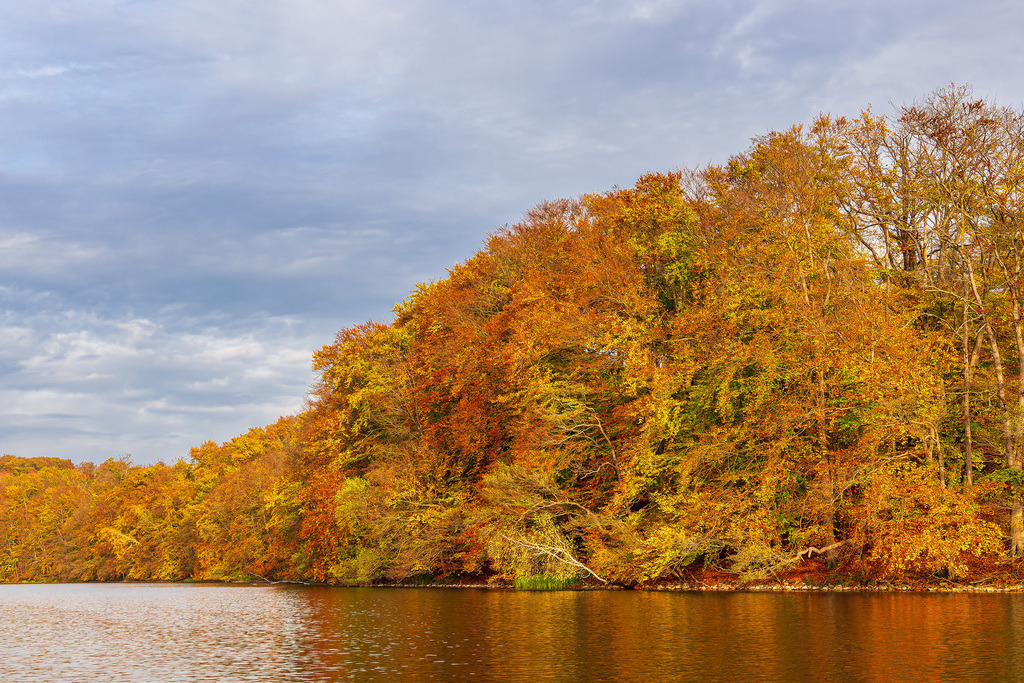 Blick über den See Schmaler Luzin auf die herbstliche Feldberger Seenlandschaft | Blick über den See Schmaler Luzin auf die herbstliche Feldberger Seenlandschaft.